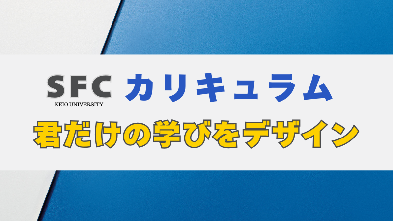 【美品】2021年版 慶應義塾大学/総合政策 君だけの学びをデザインする！慶應SFCの自由なカリキュラムを徹底解説